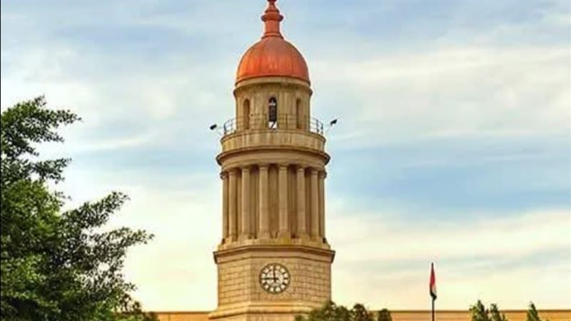 قصر العيني، فيتو