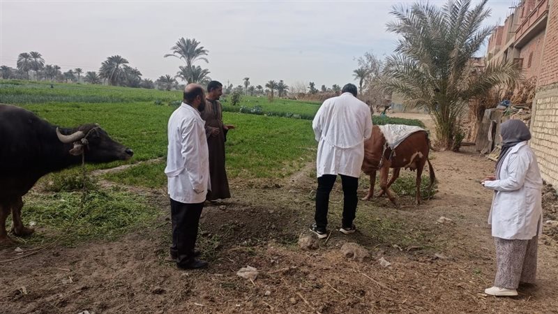 تحصين 