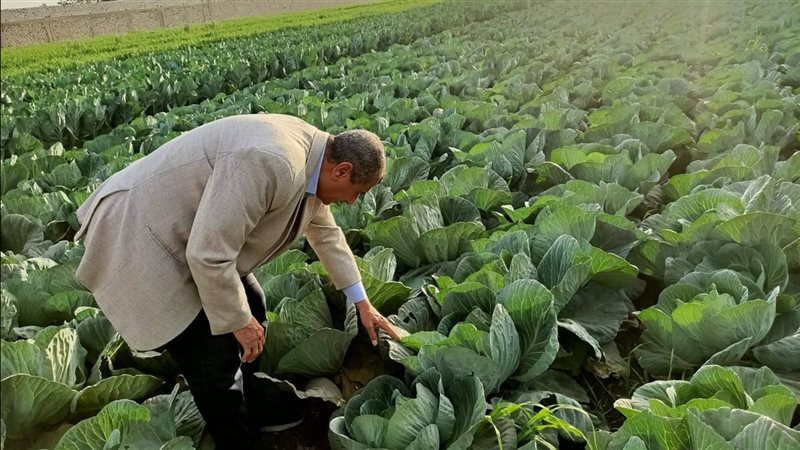 زراعة اسيوط تتفقد