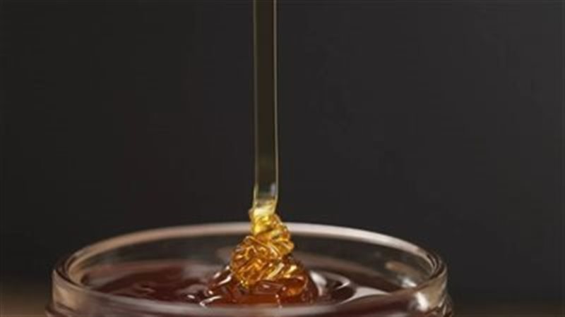 عسل السدر الجبلي