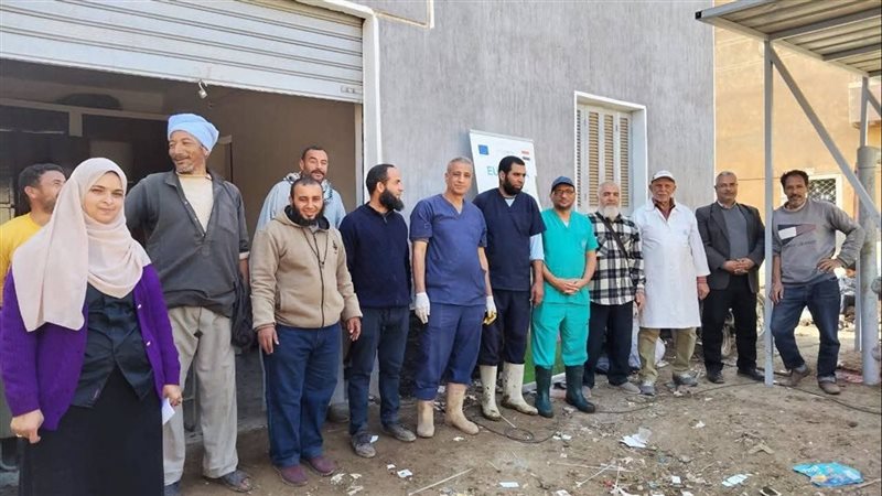 القوافل البيطرية