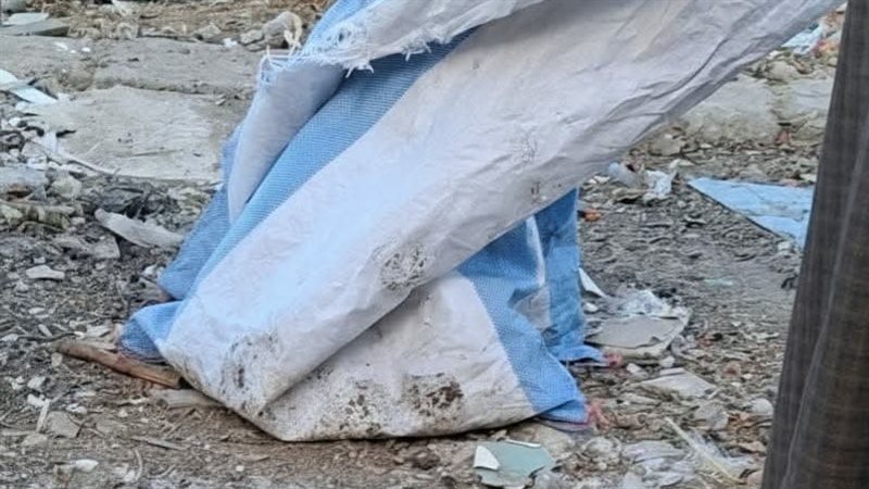  العثور على أجنة