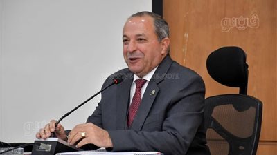 بدء أعمال إنارة منطقة عمرو بن العاص بزهور بورسعيد 