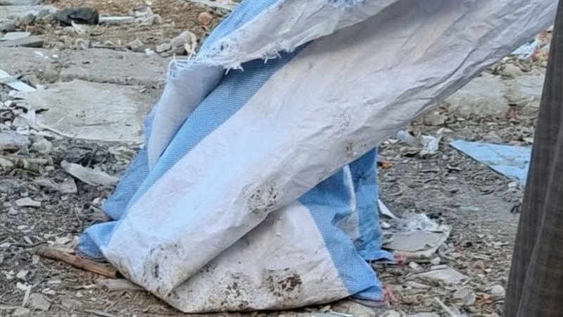 العثور على أجنة داخل