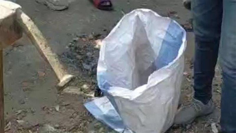 أجنة بشرية داخل برطمانات