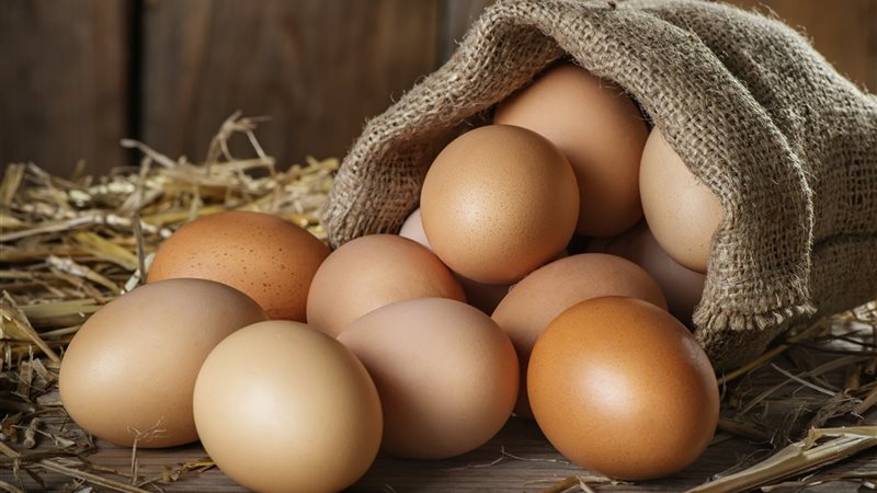 سعر كرتونة البيض
