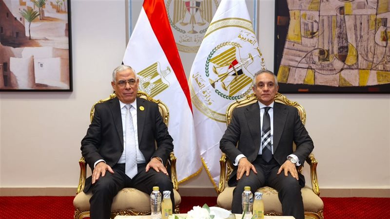 وزير العدل والنائب