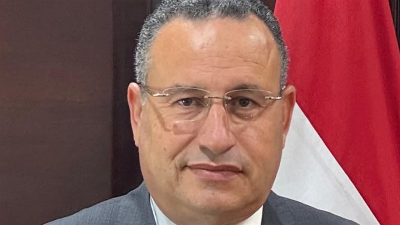 د. عبد العزيز قنصوة