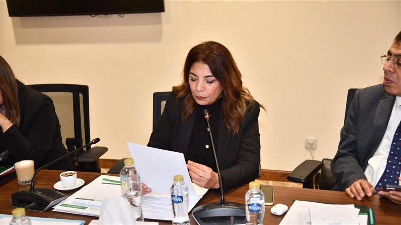 النائبة ضحى عاصي،