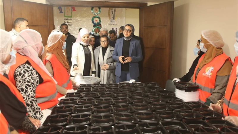 محافظ الوادي الجديد،
