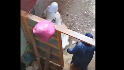 أهانوها وضربوها ورموها بالقمامة، لحظة الاعتداء على مسنة عبرت شارع أغلقه جيرانها بباب (فيديو) 