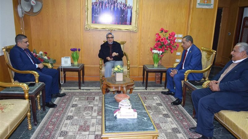 محافظ الوادى الجديد