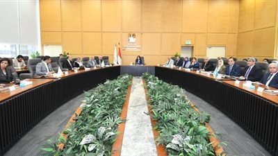 المنشاوي تشدد على ضرورة الالتزام بالبرامج الزمنية للانتهاء من أعمال مشروع 
