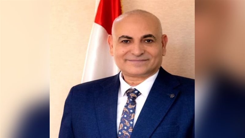 د. ناصر عبد الباري،