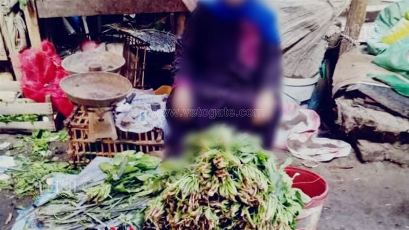 ارتفاع الفلفل واستقرار