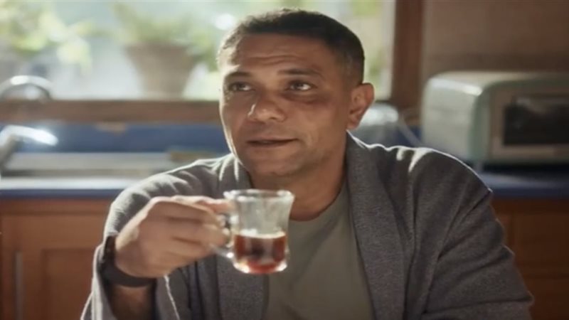 اتنين غيرنا، فيتو