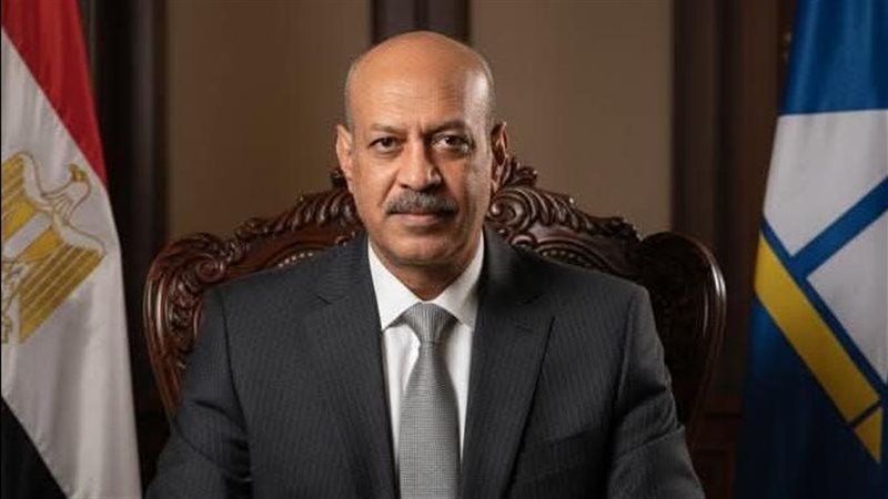 المهندس صالح فرغلي،