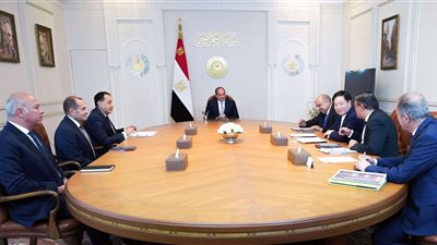  توطين صناعة الطاقة في مصر تتصدر مباحثات السيسي مع رئيس شركة GCL الصينية