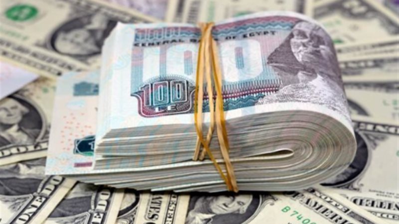 سعر الدولار