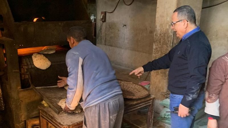 تموين الدقهلية 