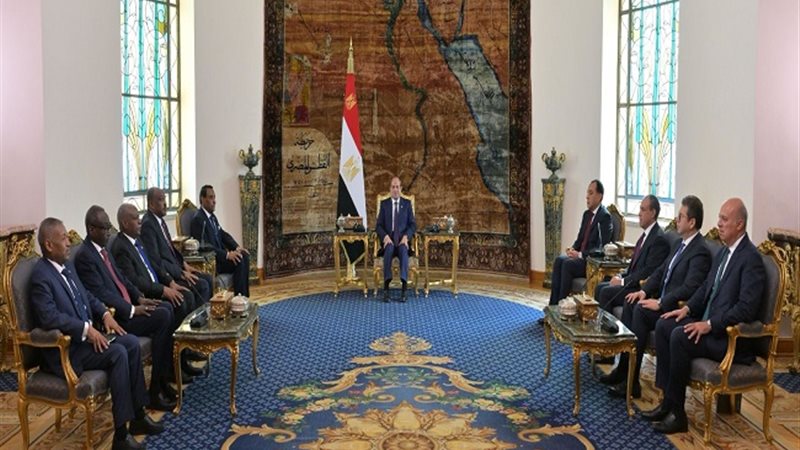 السيسي يستقبل رئيس