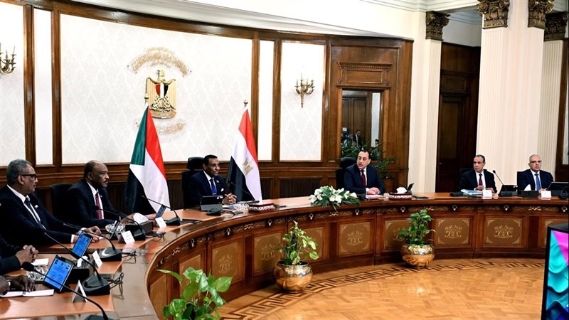المباحثات المصرية