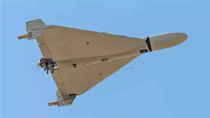 مسيّرة انتحارية،فيتو