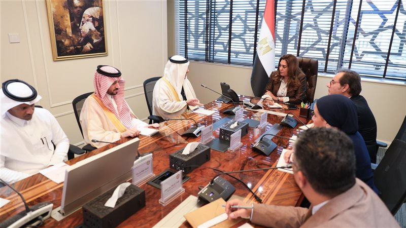 وزيرة التنمية المحلية