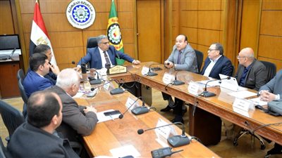 محافظ الدقهلية يتابع توصيل المرافق بمشروع 