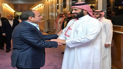 تفاصيل نشاط الرئيس السيسي في النصف الثاني من فبراير (فيديو وصور)