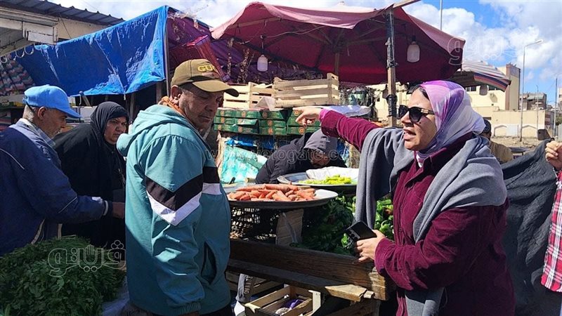 جهود محافظة بورسعيد
