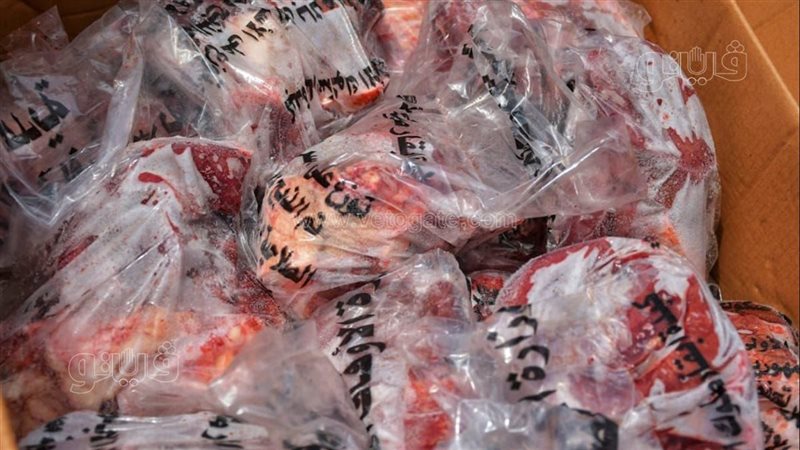 محافظة بورسعيد تستقبل