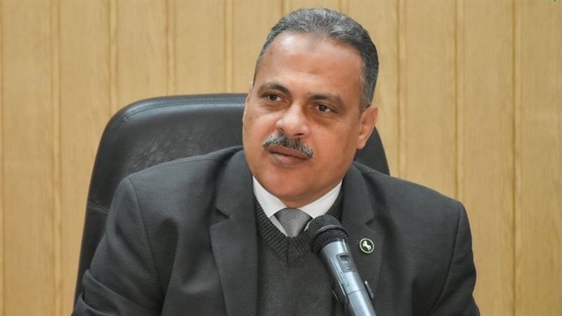 محافظ الشرقية
