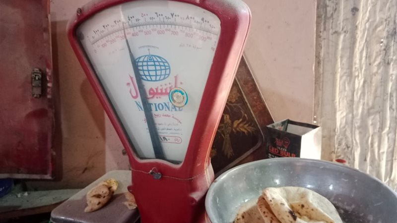حملة تموينية علي