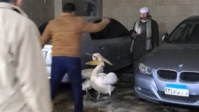  شؤون البيئة بالشرقية