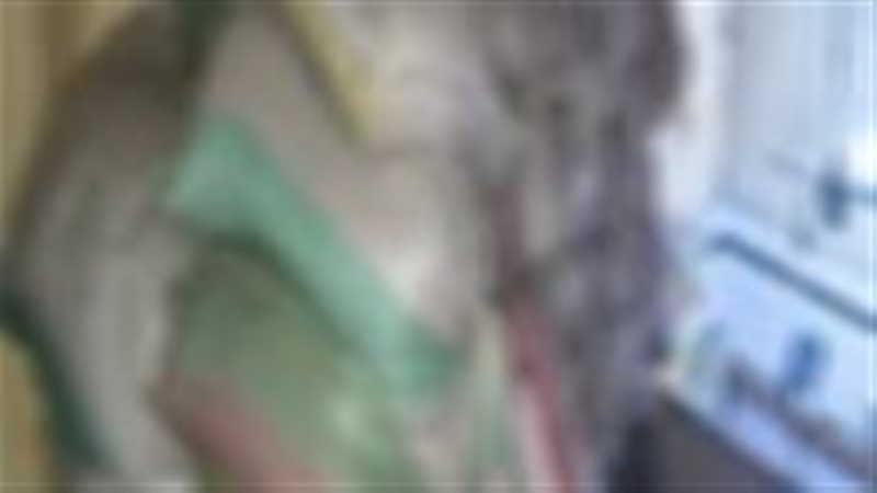 ضبط 17 طن عسل أسود