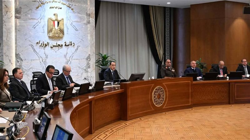 مجلس الوزراء، فيتو