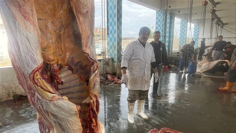 ضبط وإعدام ذبيحة