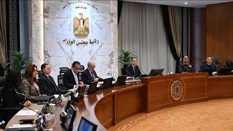 مجلس الوزراء، فيتو