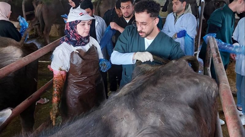 طب بيطري القناة تطلق