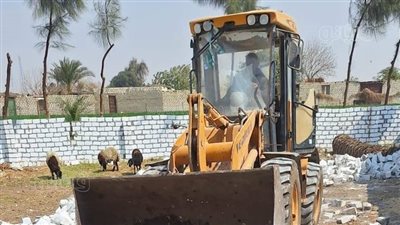 إزالة 9 حالات تعدٍ على الأراضي الزراعية بمركزي الفشن وبني سويف