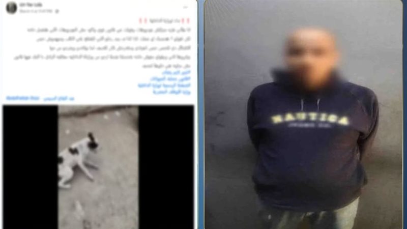 المتهم 