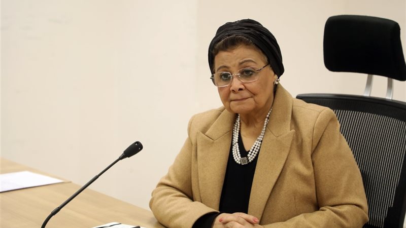 د.عبلة الألفي 