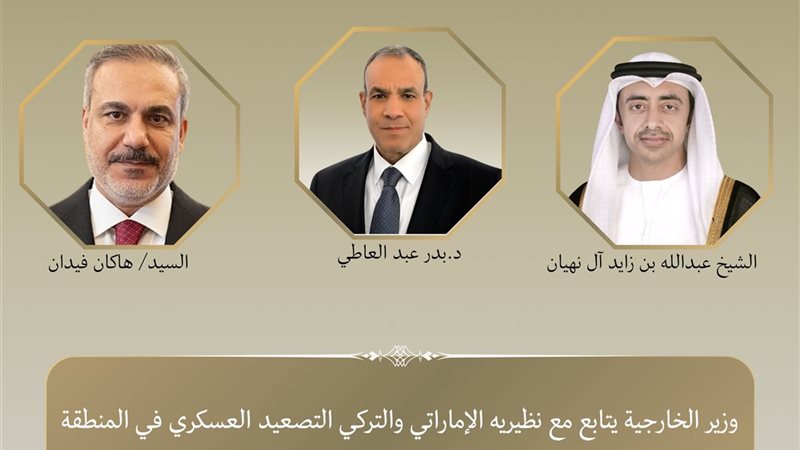 وزؤاء خارجية مصر