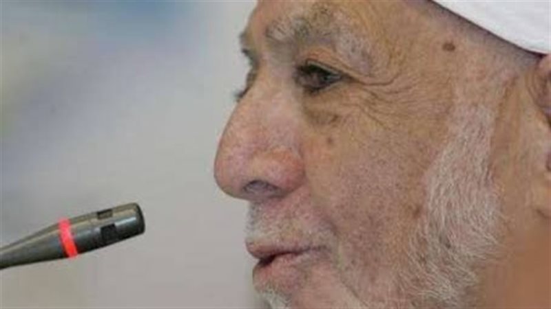 أحمد محمد عامر.فيتو
