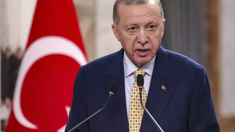 أردوغان، فيتو