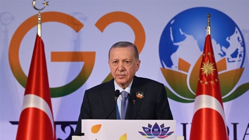 أردوغان، فيتو