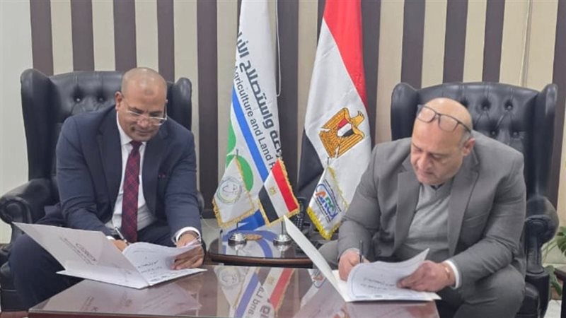 التعليم العالي والبحث
