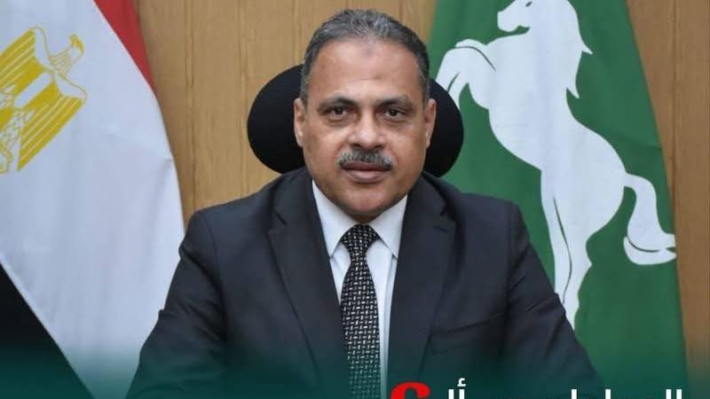 تموين الشرقية:تحرير