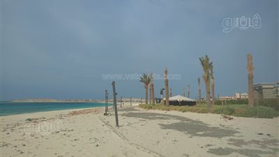 عاصفة ترابية ورياح شديدة تضرب مرسى مطروح (صور)